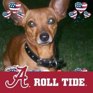 Meet your Posher, Pat